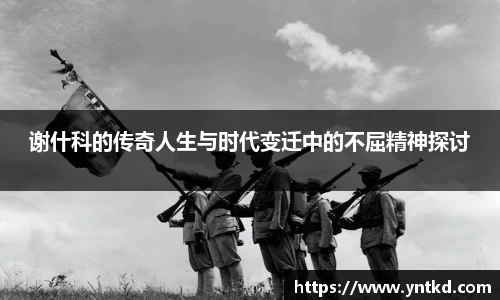 韦德体育
